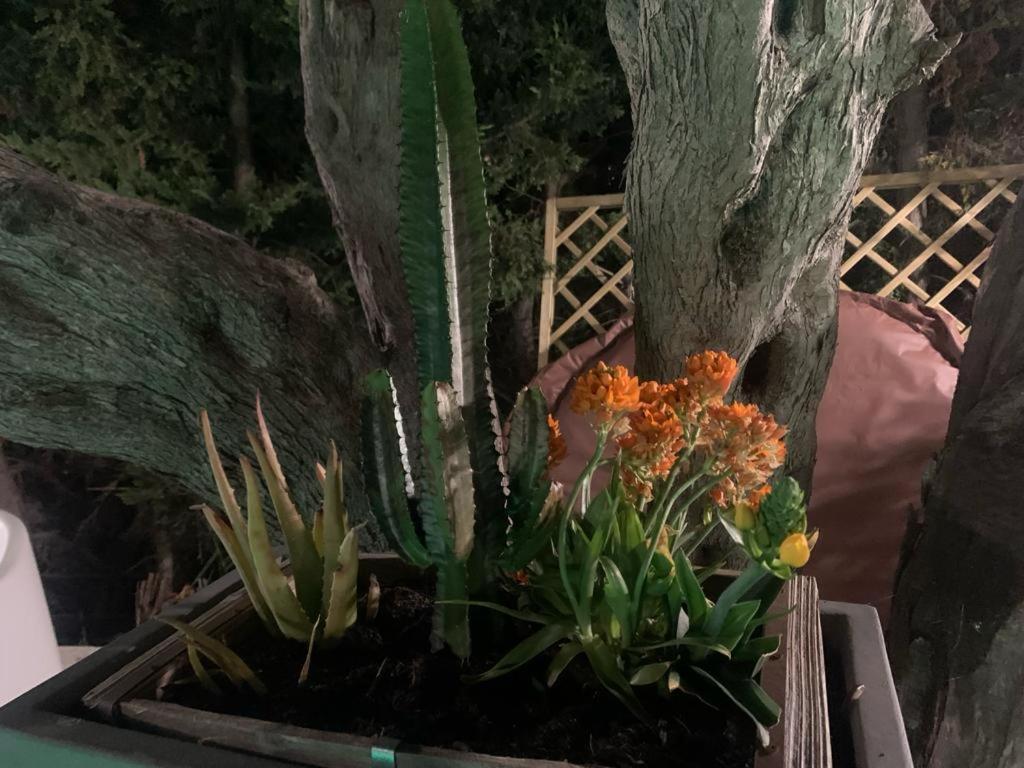 אגריג'נטו B&B Villa Del Sole Relais מראה חיצוני תמונה